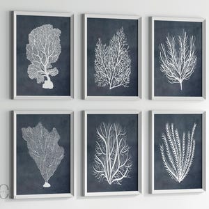 Indigo Blaue Koralle Kunstdruck: Hamptons Summer Beach House Decor (digitaler Download)