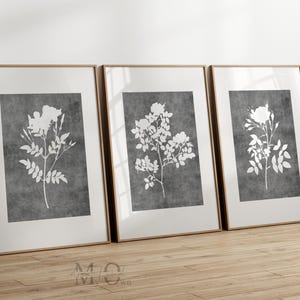 Charcoal Floral Art Print: Gray & White Botanical Illustration (Digital Download Set of 3)