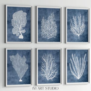 Navy Blue Coral Print Set of 6: Modern Coastal Wall Art, Ocean ...