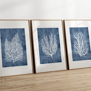 Navy Blue Coastal Art Work, Sea Coral Wall Art Blue, Watercolor Coastal Poster for Wall, Beach House Print Set of 3
