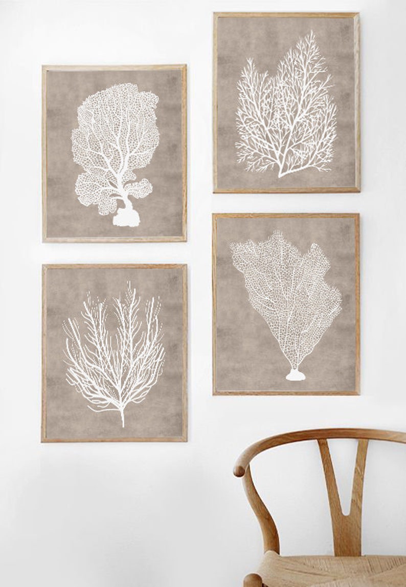 Sea Coral Prints Set of 4 Wall Art Beach Home Decor Taupe Etsy