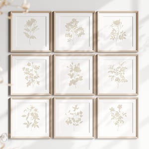 Square Floral Wall Art, Neutral Farmhouse Print, Botanical Gallery Wall Set of 9, Beige Flower Poster Printable