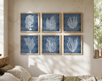 Set of 6 Navy Blue Coral Prints: Square Coastal Wall Art for Instant Download
