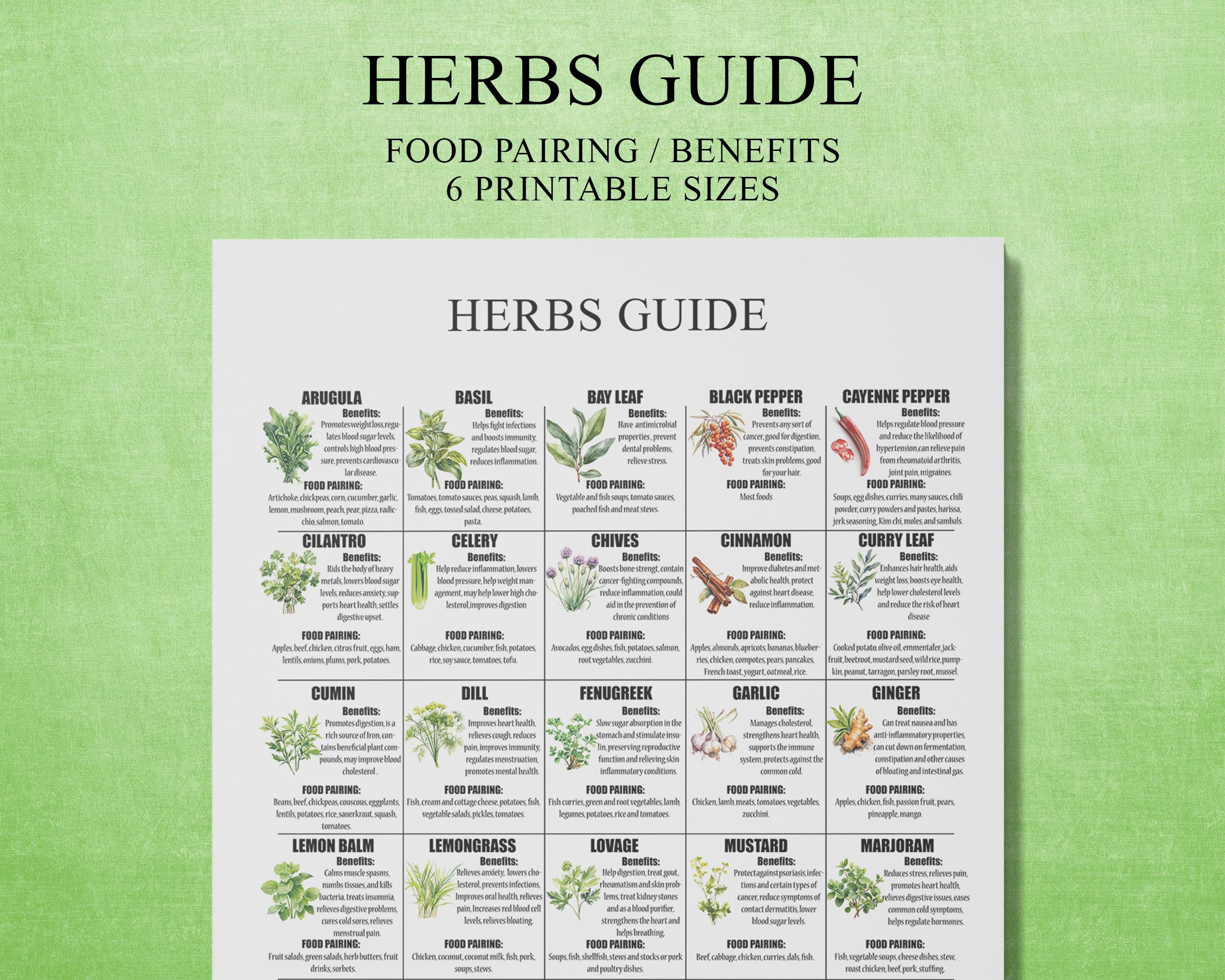 Herbs Guide Kitchen Art Print: Food Pairing Wall Decor (Digital Download)