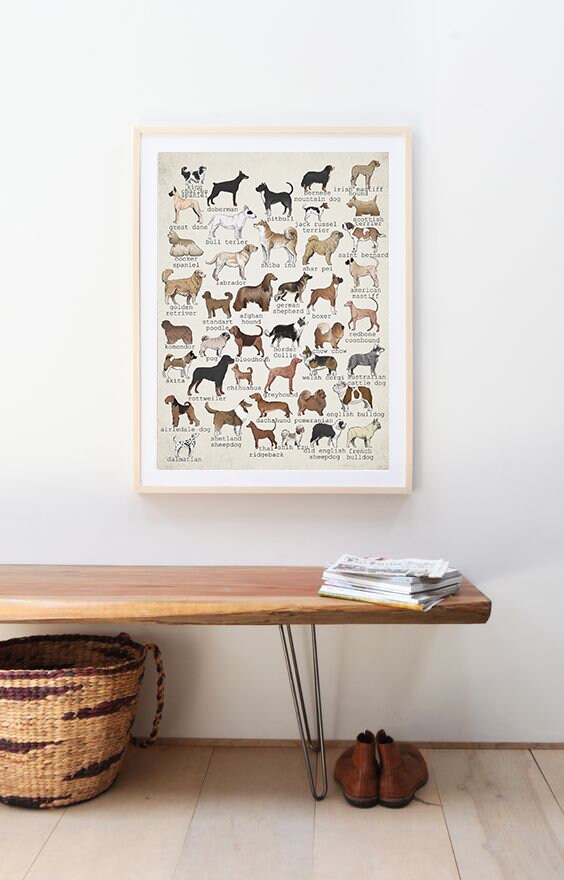 Dog Breeds Wall Art for Nursery Vintage Dogs Printable Wall Etsy