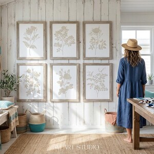 May include: A set of six framed botanical prints featuring beige floral illustrations on a white background, arranged in two rows of three on a white vertical wood paneled wall, with light wood frames surrounding each individual artwork piece.