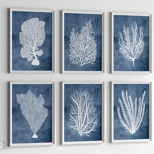 Navy Blue Sea Coral Print: Coastal Hamptons Wall Art Set of 6 (Digital Download)