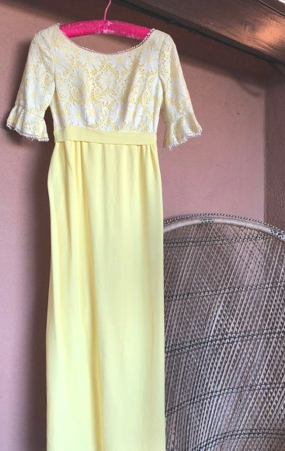 1970's Maxi Dress - image 1