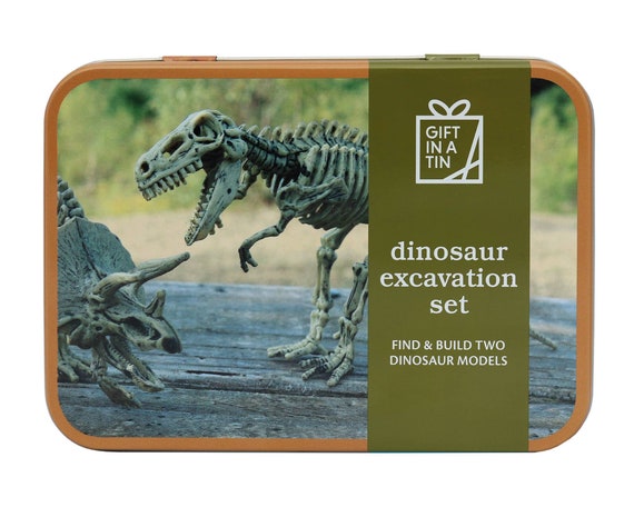 excavation kits for kids