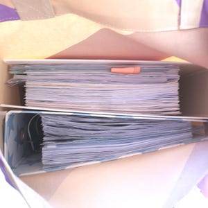 May include: A canvas tote bag with purple stripes and a beige interior holds two binders filled with papers. An orange paper clip secures the papers in the top binder. The bag is open, revealing the contents.