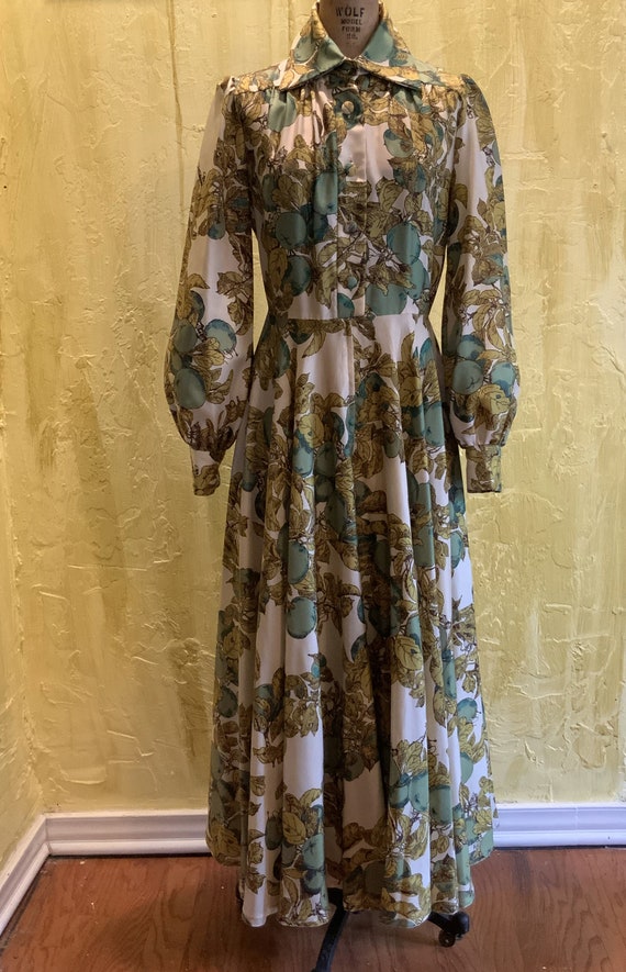 70s Jean Varon Iconic Bohemian Apple Maxi Dress