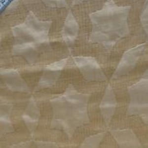 Pale Honey Gold Embossed Silk Fabric