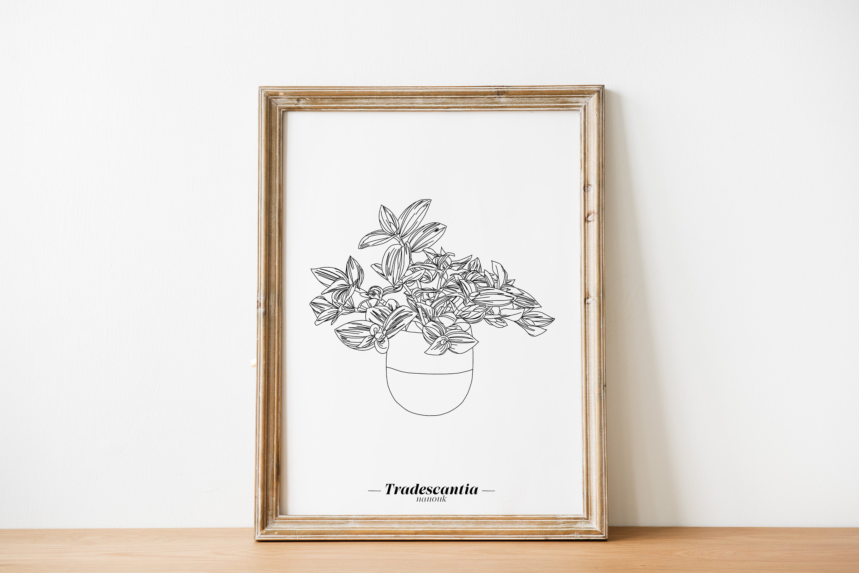 Affiche Tradescantia Nanouk - Papier A5/A4 A3