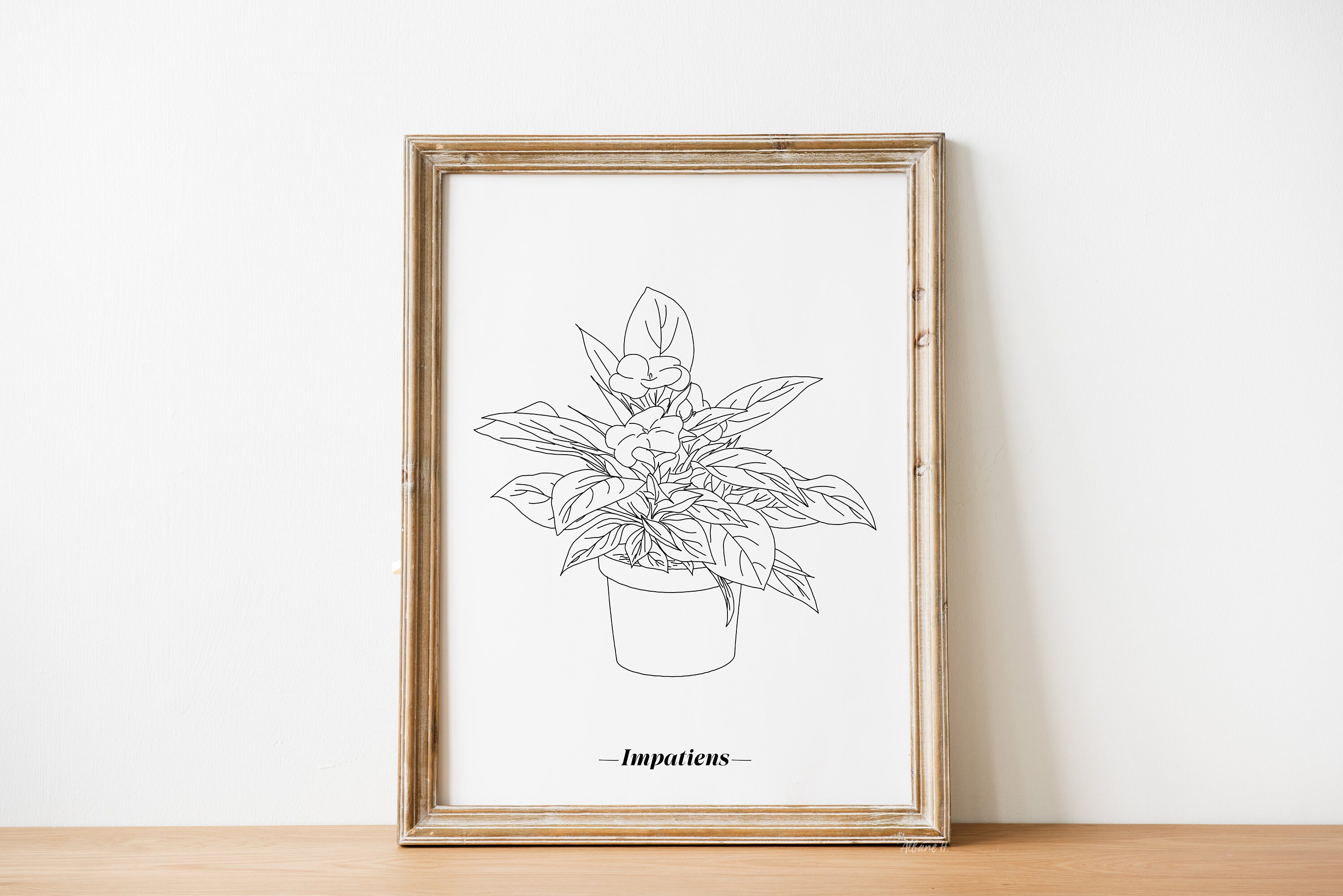 Affiche Impatiens - Papier A5/A4 A3