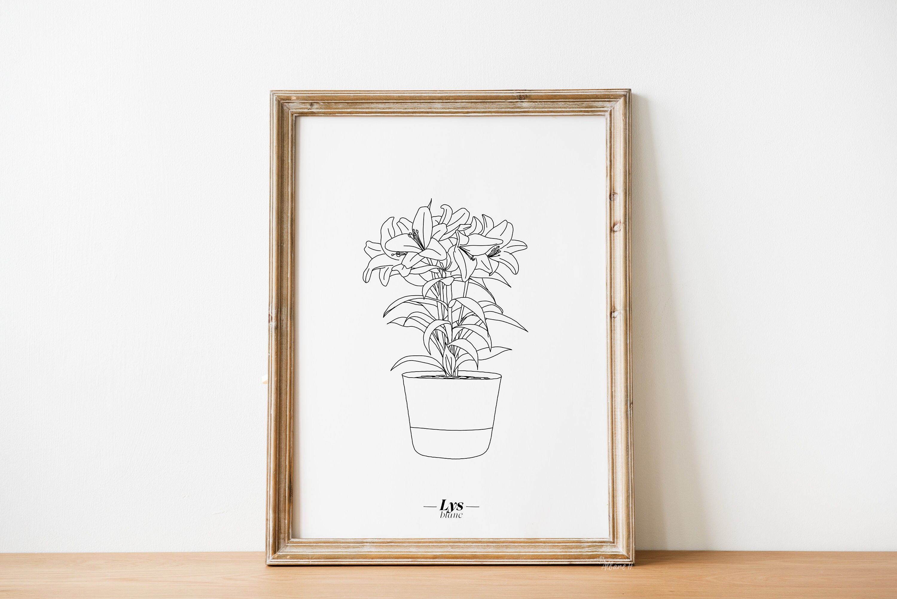 Affiche Lys - Papier A5/A4 A3