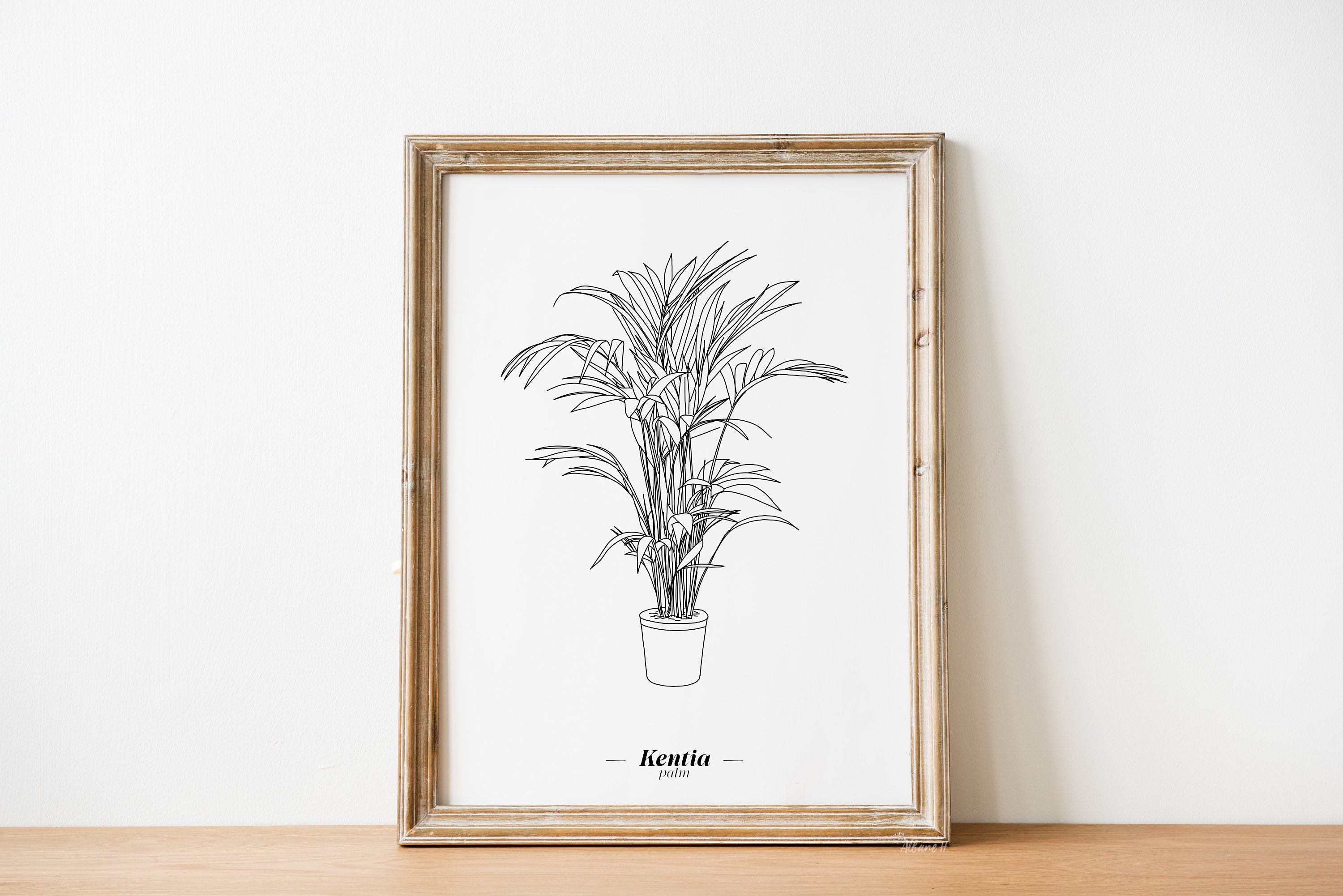 Affiche Kentia - Papier A5/A4 A3