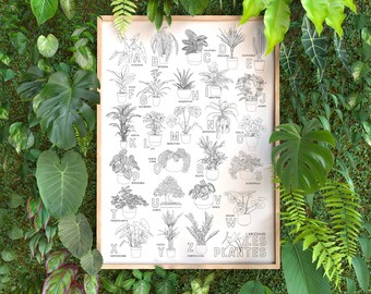 Plants ABC Poster - A3 Paper
