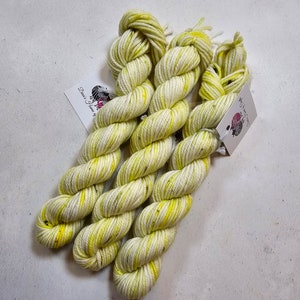 SW メリノ/ナイロン、DK 重量糸、MINI D193、20 g