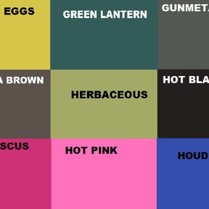 May include: A color chart with nine different color swatches. The colors are: Green Eggs, Green Lantern, Gunmetal Grey, Havana Brown, Herbaceous, Hot Black, Hot Hibiscus, Hot Pink, and Houdini Blue.