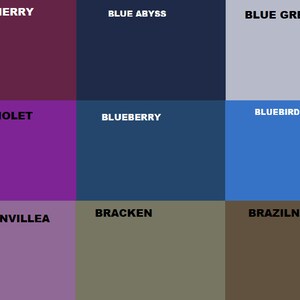 May include: A color chart with nine different color swatches. The colors are: Black Cherry, Blue Abyss, Blue Grey, Blue Violet, Blueberry, Bluebird, Bougainvillea, Bracken, and Brazilnut.