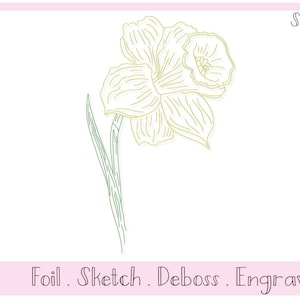 Single Line SVG File For Foil Quill / Sketch Daffodil by Titania Creations, Instant Download.