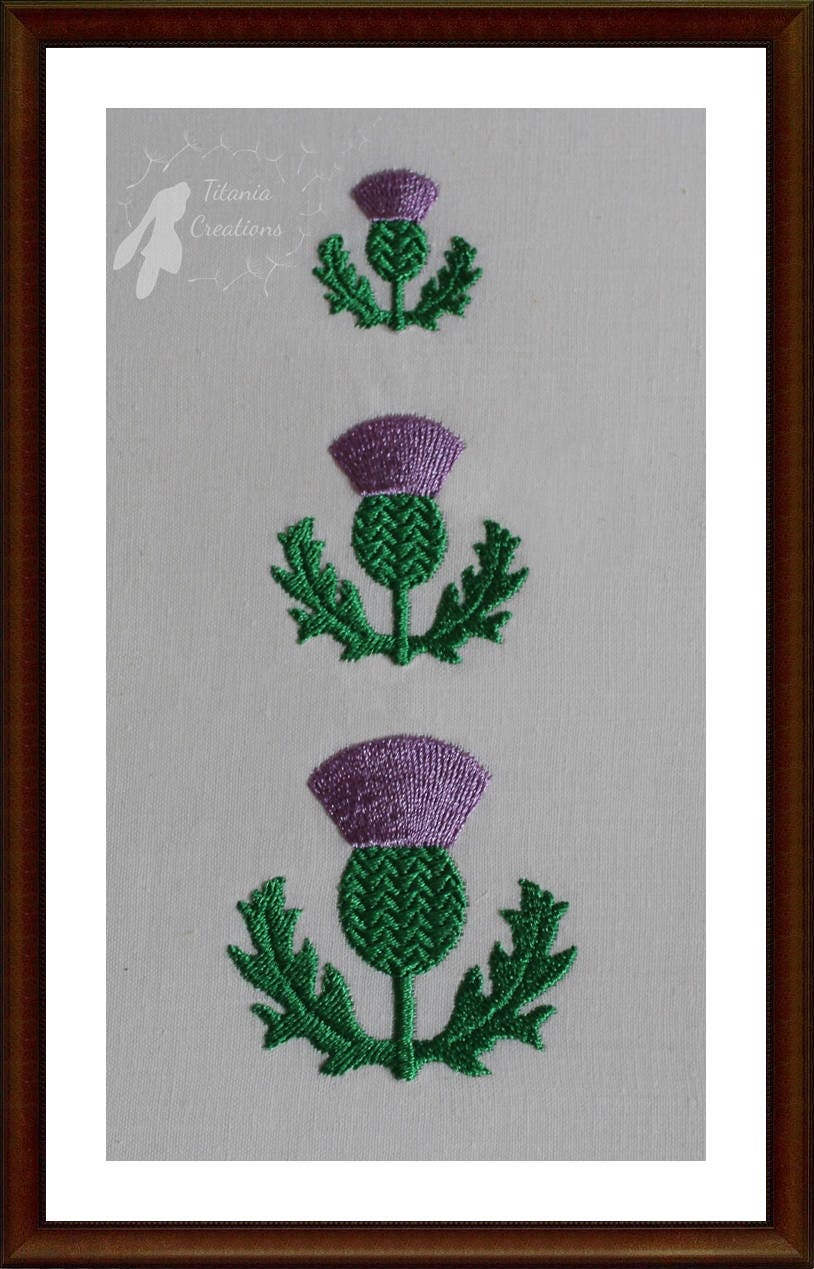 Miniature thistle machine embroidery design nwcvq three  etsy Miniature thistle machine embroidery design nwcvq three  etsy