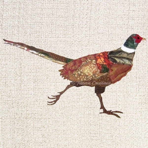 Raw Edge Applique Pheasant Machine Embroidery Design Pattern For 5x7, 6x10, 8x12 Hoops by Titania Creations, Instant Download.