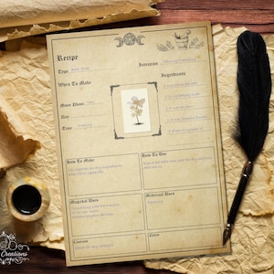 Modelos de Receitas de Ervas para Imprimir. Bruxaria. Livro das Sombras. Grimório. Download Digital Instantâneo.