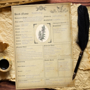 Herb Template Printable Pages. Witchcraft. Book Of Shadows. Grimoire.  Instant Digital Download