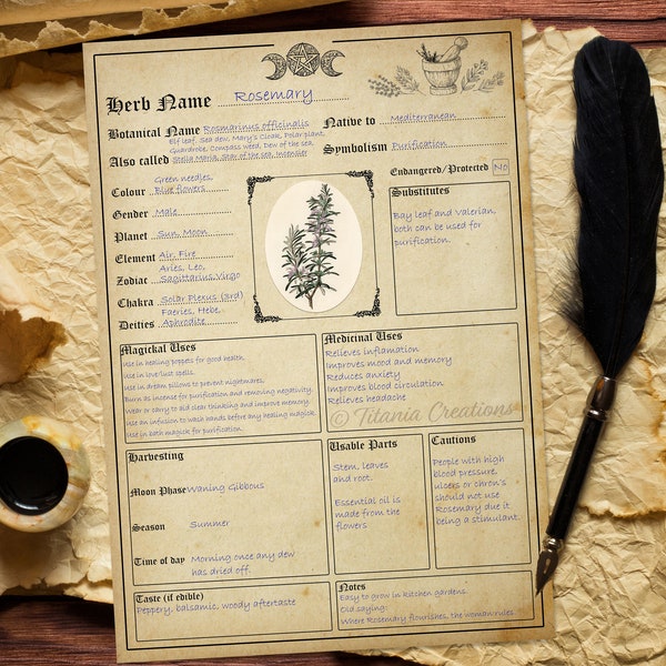 Herb Template Printable Pages. Witchcraft. Book Of Shadows. Grimoire.  Instant Digital Download