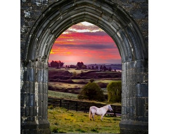 Print – Horse At Sunrise In County Clare