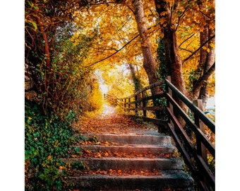Print - Autumn Path At Ennistymon Cascades, County Clare