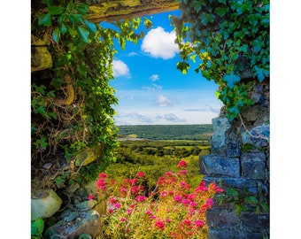 Irish Art Print, Secret Irish Garden, County Clare, Ireland Photography