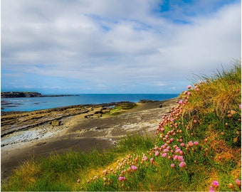 Irish Art Print, Spanish Point, County Clare, In Spring, Ireland