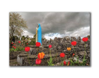 Catholic Art Print, Tulips Around Virgin Mary At Quin Abbey, County Clare, Religious Housewarming Gift