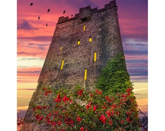 Irish Art Print, Fuchsia Sunset At Dysert O'Dea Castle, County Clare, Ireland