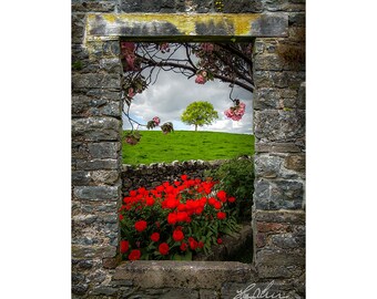 Ireland Landscape Print, Blooming County Clare Countryside, Ireland Scenery Home Office Decor Photography Housewarming Gift
