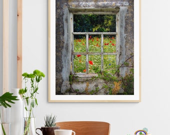 Irish Art Print - Irish Wildflower Meadow Framed By Weathered Window, Ballynacally, County Clare, Ireland Photography Home Decor Wall Art