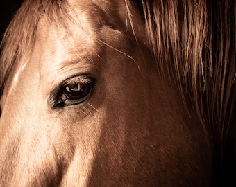 Horse Photography,Farm Animal Photo,Eye Photography,Rustic Wall Art, Farm Life Wall Prints,Animal Portrait,Horse Eye Print