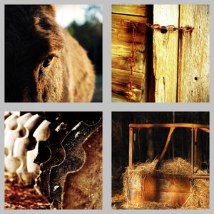 May include: A close-up of a brown animal's eye, a wooden barn door with a rusty chain, a close-up of a rusty metal gear, and a rusty metal hay rack with hay inside.