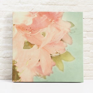 Pink Nostalgia: Pastel Pink Azalea Flower, Square Canvas or Print, Flower Wall Art, Floral Canvas, Botanical Wall Pictures, Large Wall Art