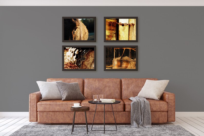 May include: Four framed photographs of a brown horse, a wooden barn, and a rusty bucket in a barn. The photographs are hanging on a gray wall above a brown leather sofa with two throw pillows and a throw blanket.