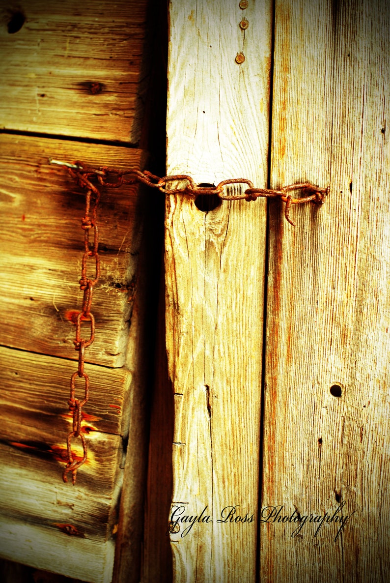 May include: A close-up of a wooden door secured with a rusty chain. The wood is weathered and has a warm, golden hue. The chain is wrapped around the door and secured with a padlock.