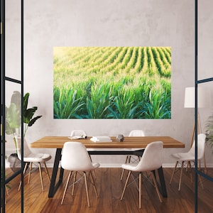 May include: A photograph of a field of green corn stalks in rows. The corn is growing tall and the sun is shining on the field. The image is printed on a canvas and framed.
