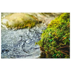 Refresh – Mossy Mountain Stream Photo – Green Mossy Rock in Water – Rustic Moody Nature Wall Art – Garden & Green Decor