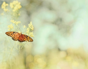 Butterfly Photography, Nature Photography, Insect Photography, Wildlife Photos,Fine Art,Teal Decor,Yellow Wall Decor,Yellow wild flowers