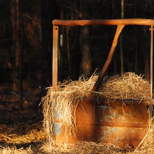 Hay Bale Feeder,Hay Ring Photography,Pasture,Cow,Hay Field,Hay Bale,Agriculture Photo,Rustic Photography,Farm Photography,Country Photograph