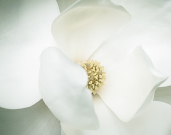 Magnolia Flower Print,White Flower Photography,Floral Photography,Botanical Photography,Flower Photography,Nature Photography,Spring,Garden