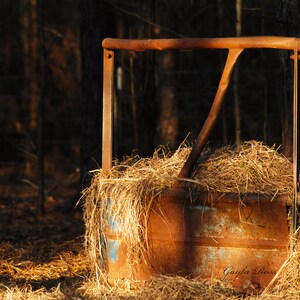 May include: A rusty metal hay feeder with a wooden top, filled with dry hay, in a forest setting.