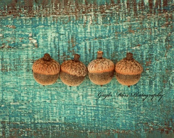 Acorn Photography,Nature Photography,Fall Photo,Autumn Photo,Still life,aqua,teal,rustic,Botanical,Oak,food photo,turquoise wood,fall gift